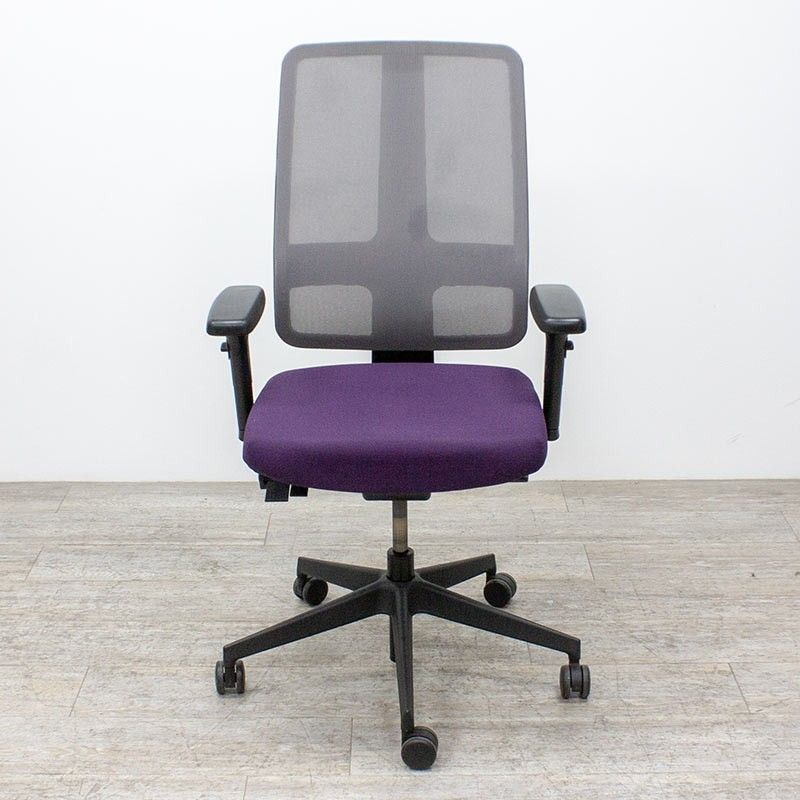 Majencia Drakkar violet gris 3D