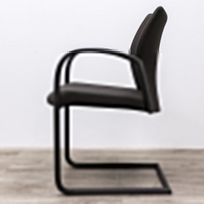 HERMAN MILLER Luge Senator